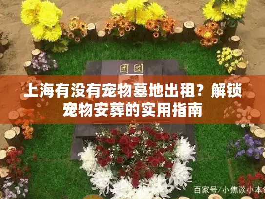 上海有没有宠物墓地出租？解锁宠物安葬的实用指南