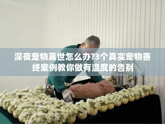 深夜宠物离世怎么办?3个真实宠物善终案例教你做有温度的告别