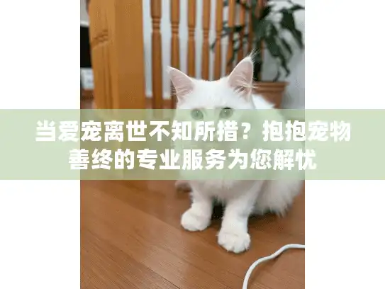 当爱宠离世不知所措？抱抱宠物善终的专业服务为您解忧