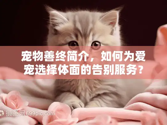 宠物善终简介，如何为爱宠选择体面的告别服务？