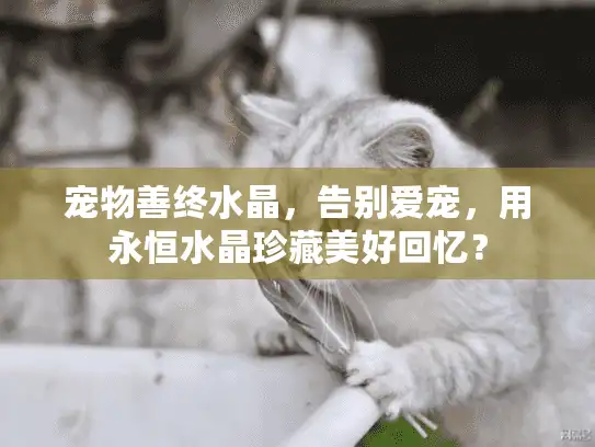 宠物善终水晶，告别爱宠，用永恒水晶珍藏美好回忆？