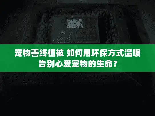 宠物善终植被 如何用环保方式温暖告别心爱宠物的生命？