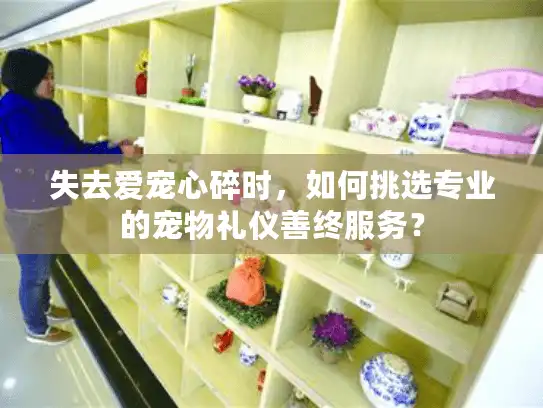 失去爱宠心碎时，如何挑选专业的宠物礼仪善终服务？