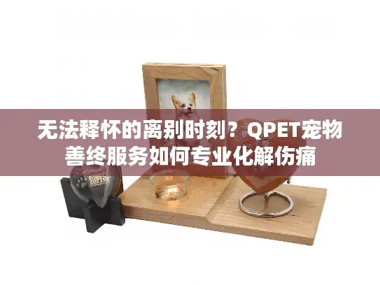 无法释怀的离别时刻？QPET宠物善终服务如何专业化解伤痛
