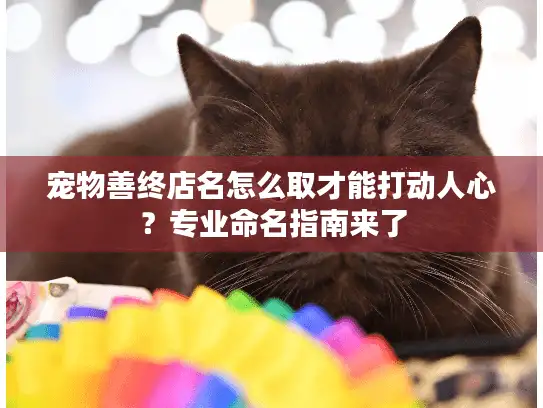宠物善终店名怎么取才能打动人心？专业命名指南来了