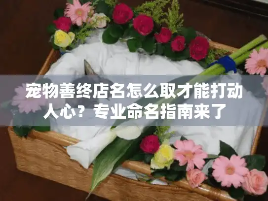 宠物善终店名怎么取才能打动人心？专业命名指南来了