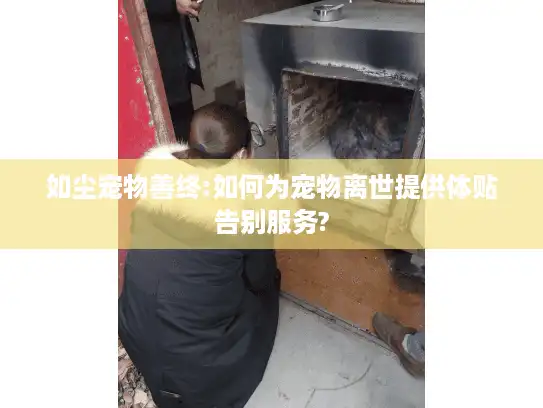 如尘宠物善终:如何为宠物离世提供体贴告别服务?