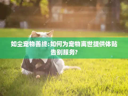 如尘宠物善终:如何为宠物离世提供体贴告别服务?