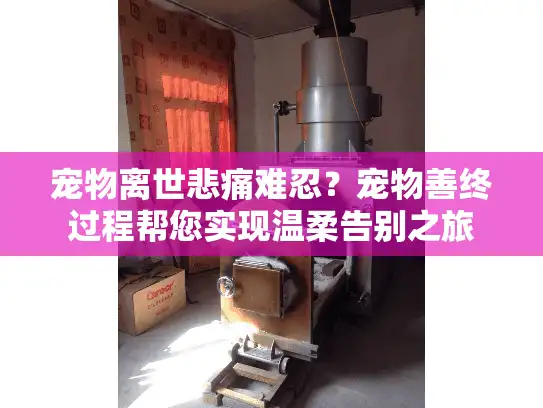 宠物离世悲痛难忍？宠物善终过程帮您实现温柔告别之旅