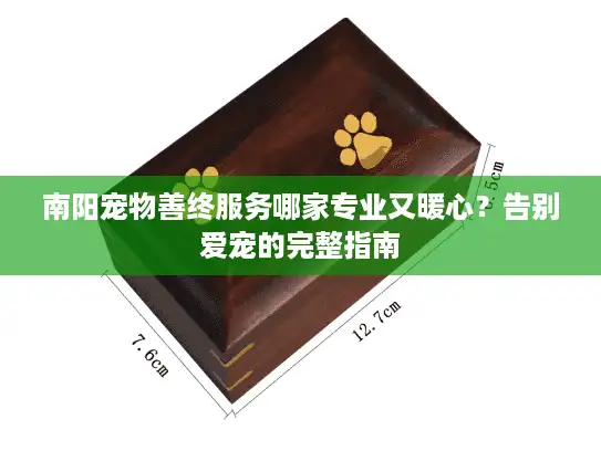 南阳宠物善终服务哪家专业又暖心？告别爱宠的完整指南