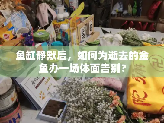 鱼缸静默后，如何为逝去的金鱼办一场体面告别？