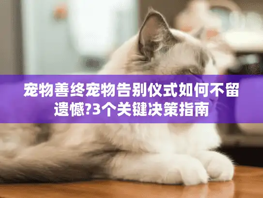 宠物善终宠物告别仪式如何不留遗憾?3个关键决策指南