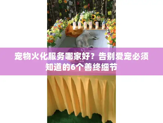 宠物火化服务哪家好？告别爱宠必须知道的6个善终细节