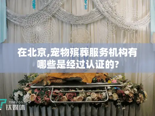 在北京,宠物殡葬服务机构有哪些是经过认证的?