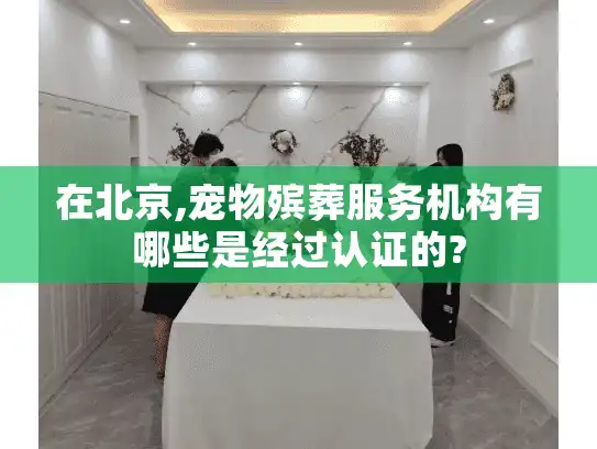 在北京,宠物殡葬服务机构有哪些是经过认证的?