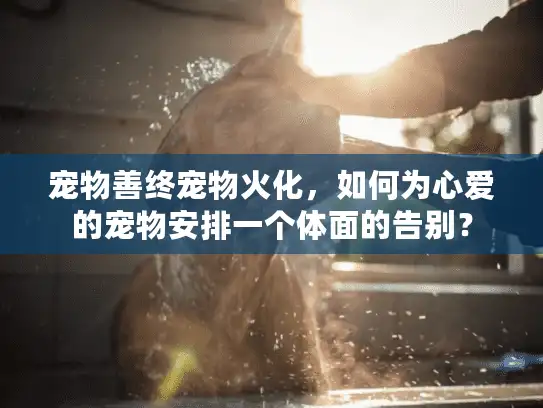 宠物善终宠物火化，如何为心爱的宠物安排一个体面的告别？