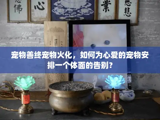 宠物善终宠物火化，如何为心爱的宠物安排一个体面的告别？