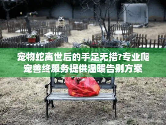 宠物蛇离世后的手足无措?专业爬宠善终服务提供温暖告别方案