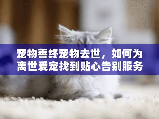 宠物善终宠物去世，如何为离世爱宠找到贴心告别服务？