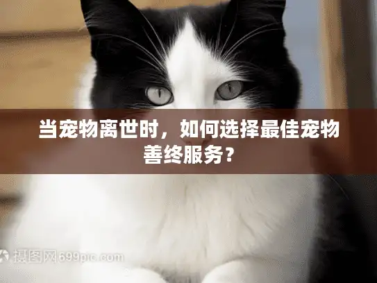 当宠物离世时，如何选择最佳宠物善终服务？