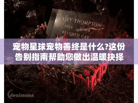 宠物星球宠物善终是什么?这份告别指南帮助您做出温暖抉择