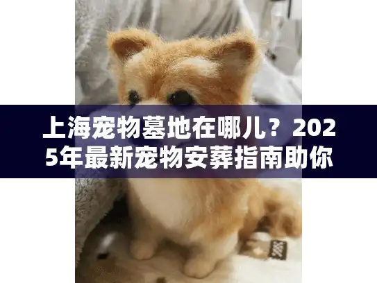 上海宠物墓地在哪儿？2025年最新宠物安葬指南助你安心寻址