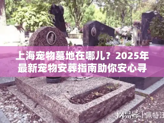 上海宠物墓地在哪儿？2025年最新宠物安葬指南助你安心寻址