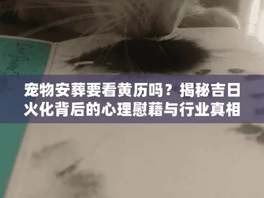 宠物安葬要看黄历吗？揭秘吉日火化背后的心理慰藉与行业真相