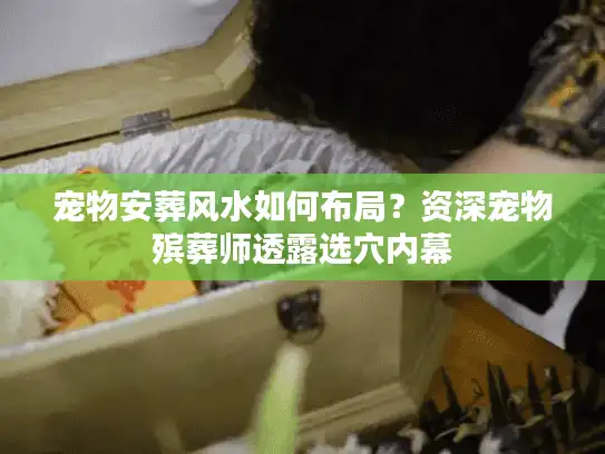 宠物安葬风水如何布局？资深宠物殡葬师透露选穴内幕