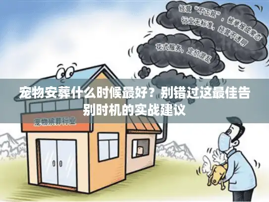 宠物安葬什么时候最好？别错过这最佳告别时机的实战建议