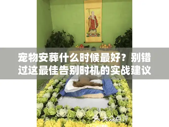 宠物安葬什么时候最好？别错过这最佳告别时机的实战建议