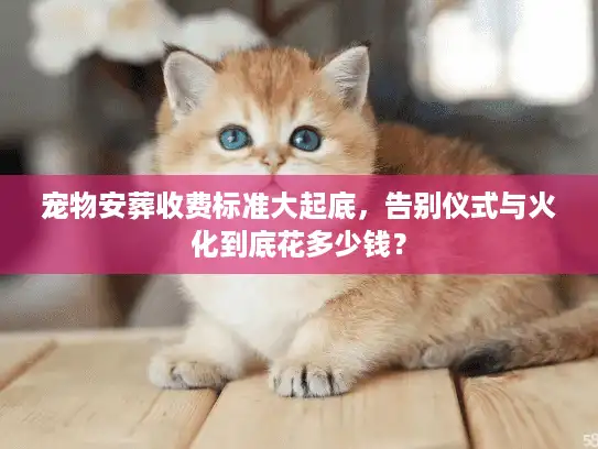 宠物安葬收费标准大起底，告别仪式与火化到底花多少钱？