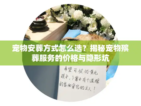 宠物安葬方式怎么选？揭秘宠物殡葬服务的价格与隐形坑