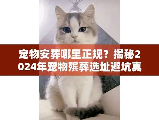 宠物安葬哪里正规？揭秘2024年宠物殡葬选址避坑真相