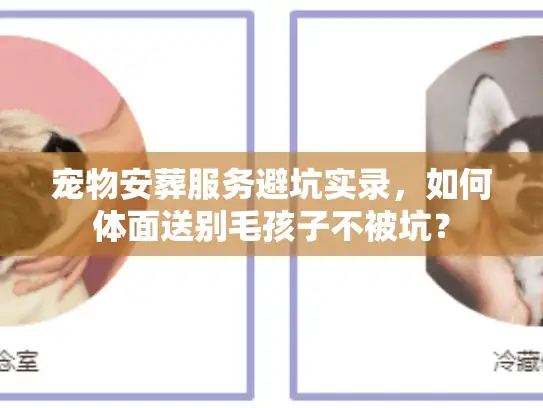 宠物安葬服务避坑实录，如何体面送别毛孩子不被坑？