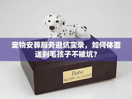 宠物安葬服务避坑实录，如何体面送别毛孩子不被坑？