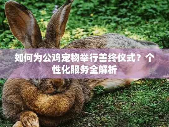 如何为公鸡宠物举行善终仪式？个性化服务全解析
