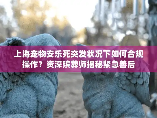 上海宠物安乐死突发状况下如何合规操作？资深殡葬师揭秘紧急善后