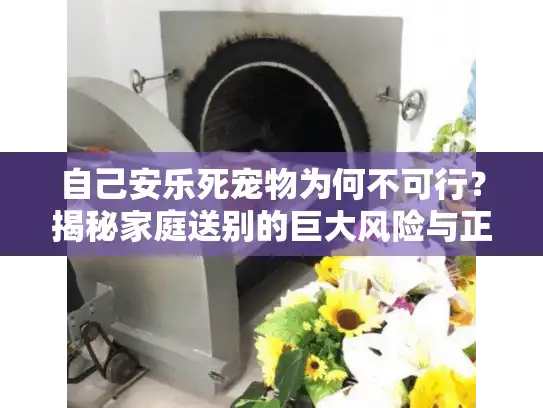 自己安乐死宠物为何不可行？揭秘家庭送别的巨大风险与正解