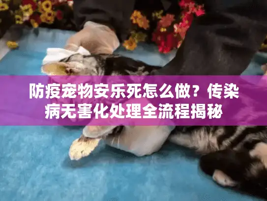 防疫宠物安乐死怎么做？传染病无害化处理全流程揭秘