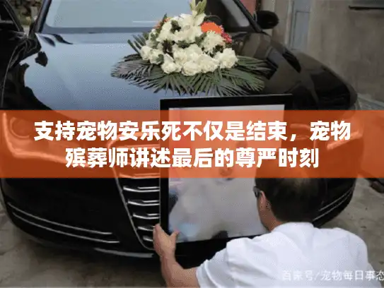 支持宠物安乐死不仅是结束，宠物殡葬师讲述最后的尊严时刻