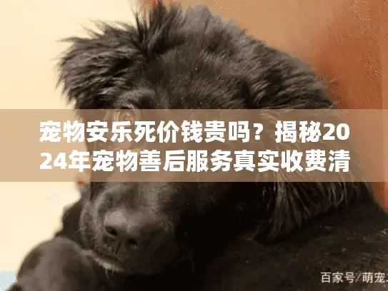 宠物安乐死价钱贵吗？揭秘2024年宠物善后服务真实收费清单