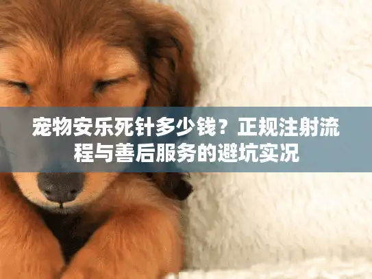 宠物安乐死针多少钱？正规注射流程与善后服务的避坑实况