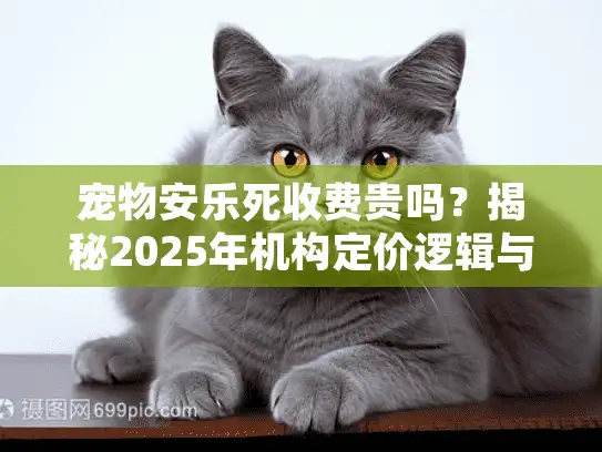 宠物安乐死收费贵吗？揭秘2025年机构定价逻辑与避坑策略