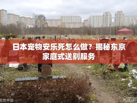 日本宠物安乐死怎么做？揭秘东京家庭式送别服务