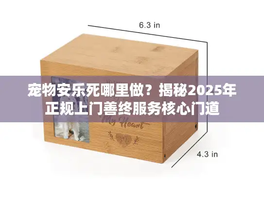 宠物安乐死哪里做？揭秘2025年正规上门善终服务核心门道