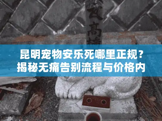 昆明宠物安乐死哪里正规？揭秘无痛告别流程与价格内幕