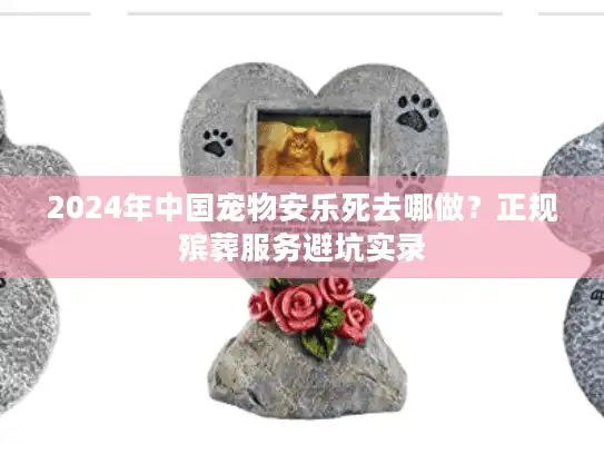2024年中国宠物安乐死去哪做？正规殡葬服务避坑实录