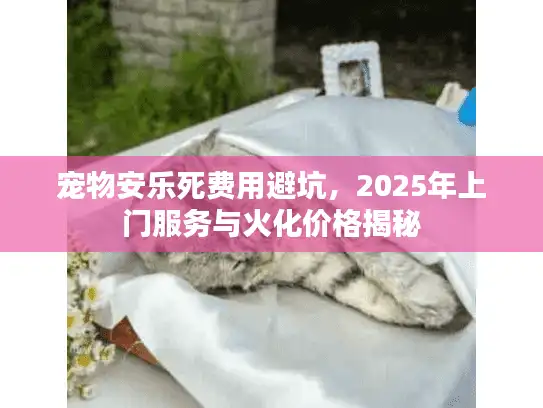 宠物安乐死费用避坑，2025年上门服务与火化价格揭秘