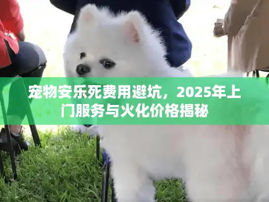 宠物安乐死费用避坑，2025年上门服务与火化价格揭秘